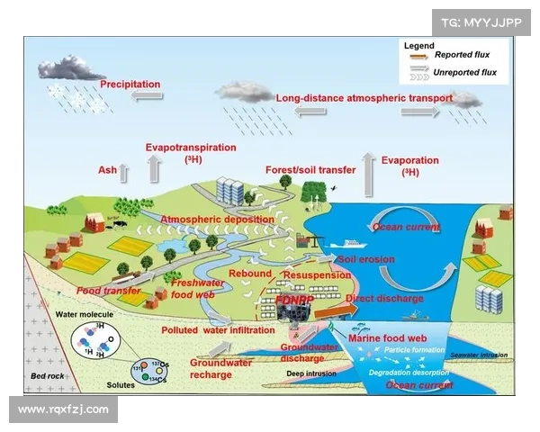 全面解析如何科学评估洛塞尔索比赛中多维度的综合足球表现标准要 全面解析如何科学评估洛塞尔索比赛中多维度的综合足球表现标准要